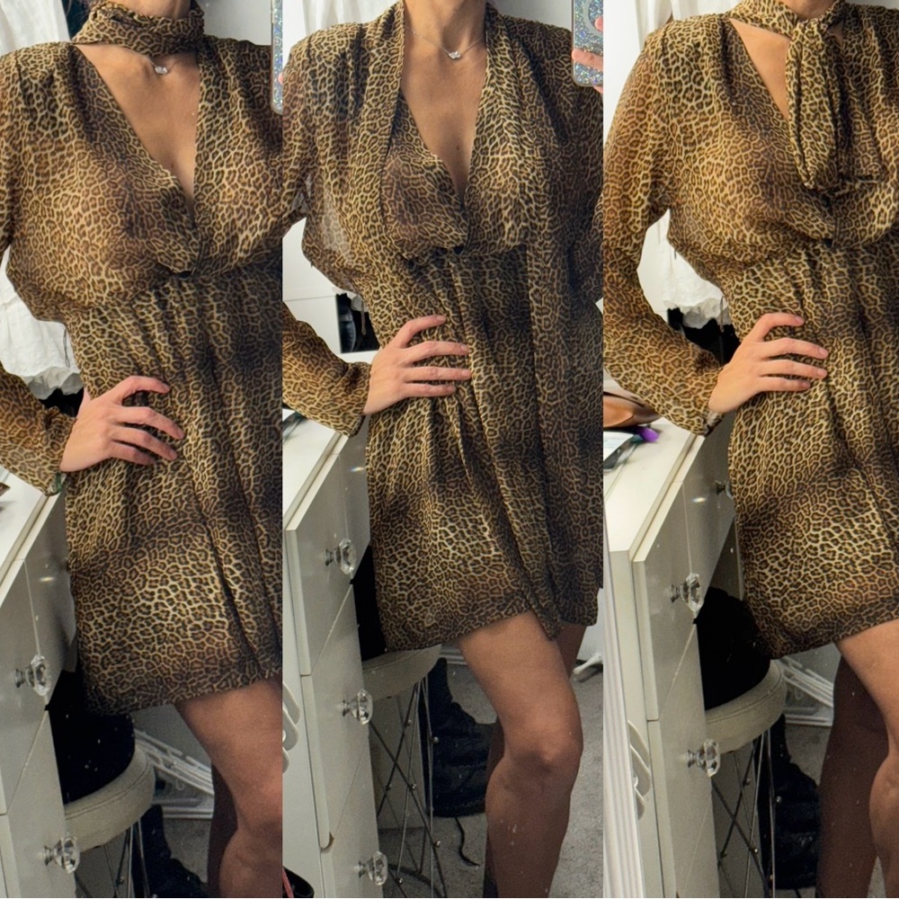 Zara Brown Leopard Long Sleeve Dress